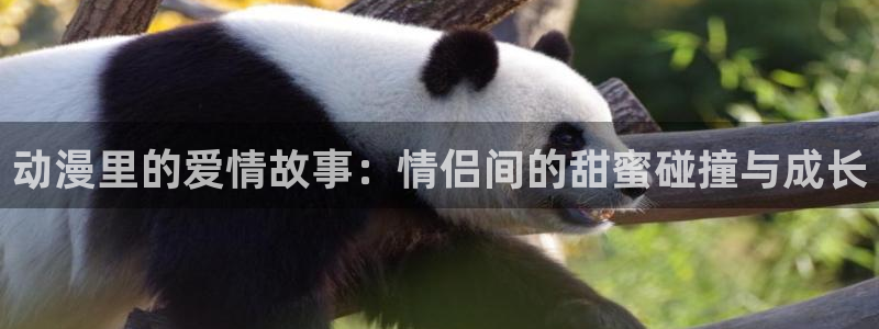 亡灵幻境漫画动漫之家：动漫里的爱情故事：情侣间的甜蜜碰撞与成长