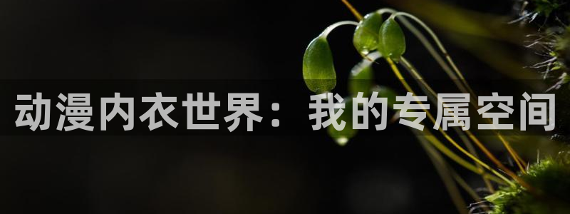 00兆赫漫画动漫之家：动漫内衣世界：我的专属空间