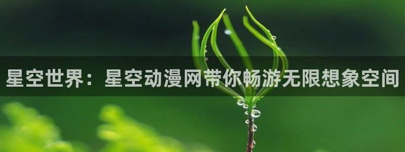 动漫之家 小说：星空世界：星空动漫网带你畅游无限想象空间